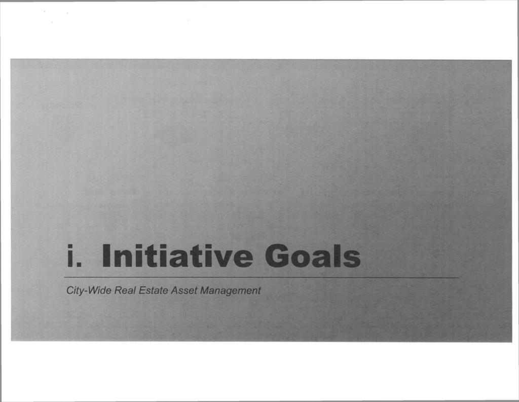 i. Initiative Goals