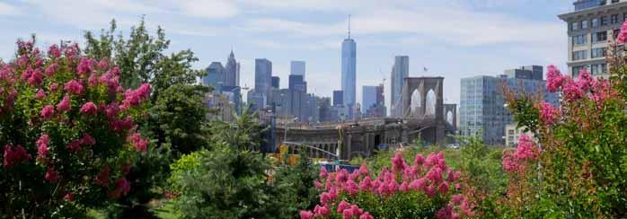 Brooklyn Residential Rental Market Report June 218 AVERAGE RENT SUMMARY: June 218 Location Studio 1BR 2BR 3BR Bedford-Stuyvesant $1,879 2,217 2,582 3,43 Boerum Hill $1,765 2,963 4,28 6,899 Brooklyn