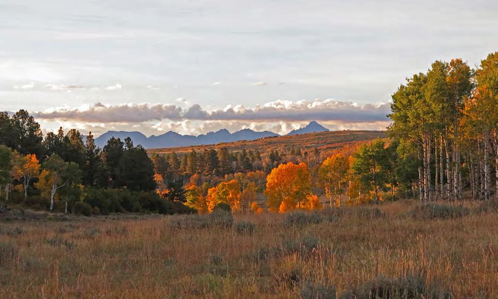Located between Montrose and Telluride, Colorado, the ranch features year round paved access, 6 miles of national forest boundary, underground utilities, 60%-70% ponderosa pine, aspen and spruce