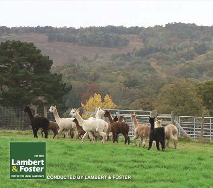 FORTHCOMING AUCTIONS Wednesday 30th March 2016 Rural Property Auction Grange Moor Hotel, Maidstone, Kent Saturday 9th April 2016 Sale of Alpacas at Wealden Farm Upper Hartfield East Sussex, TN7 4AT