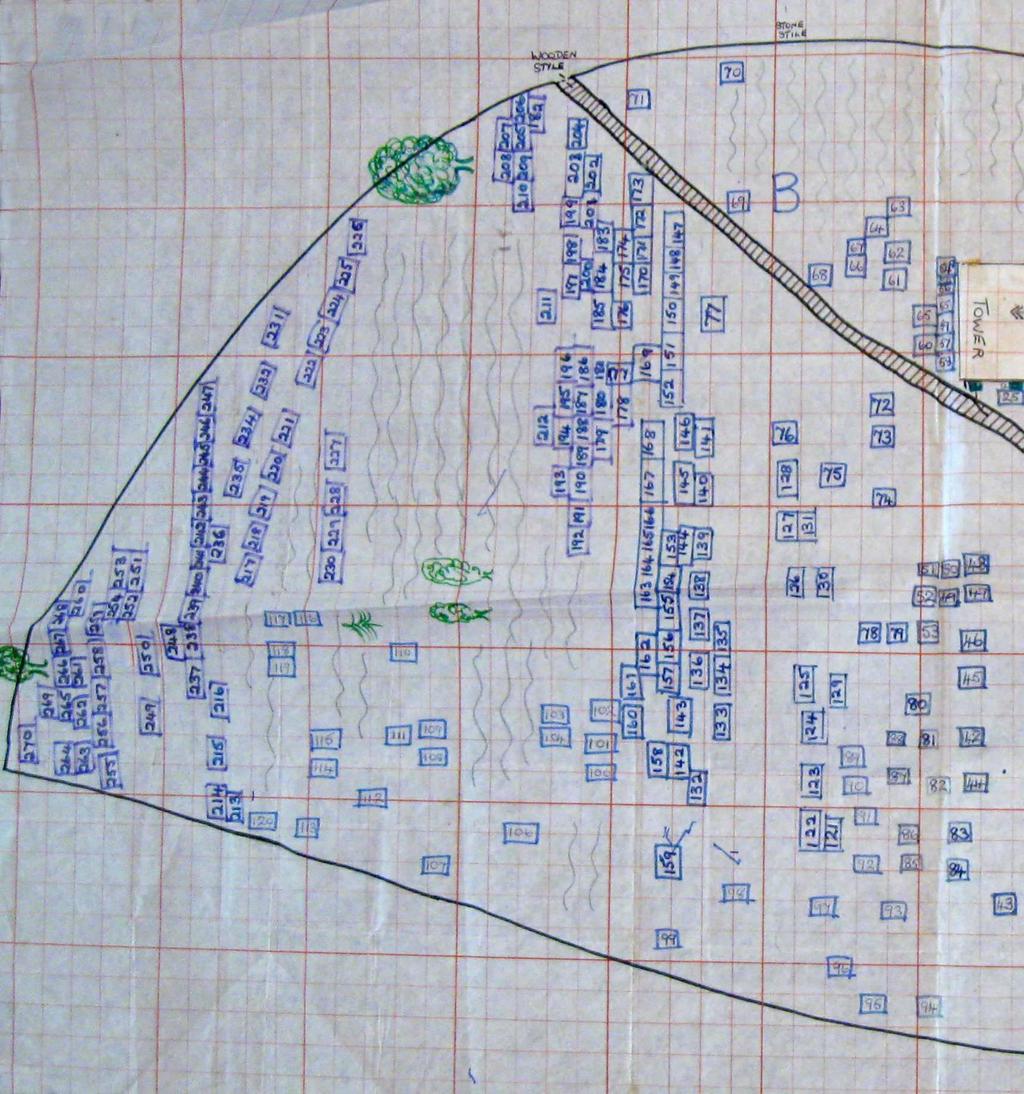 Grave Yard Plan Left Side of Church Transcribed By Tony
