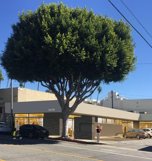 Medical / Retail Space for Lease Site Plan MONTANA AVENUE Williams-Sonoma * Coldwell Banker RE * Forma * Pinkberry P1 SIGNAGE * * * * * 24 Sepi SantaMonica Postal Place Montalvo on Montana OneWest
