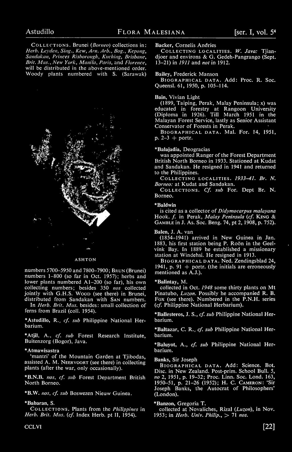 Astudillo Flora Malesiana [ser. I, vol. 5^ Collections. Brunei (Borneo) collections in: Herb. Leydeii, Sing., Kew, Am. Arb., Bog., Kepoug, Sandakan, Princes Rishoroiig/i, Kiiching, Brisbane, Brit.