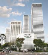 Raffles City Singapore (100.