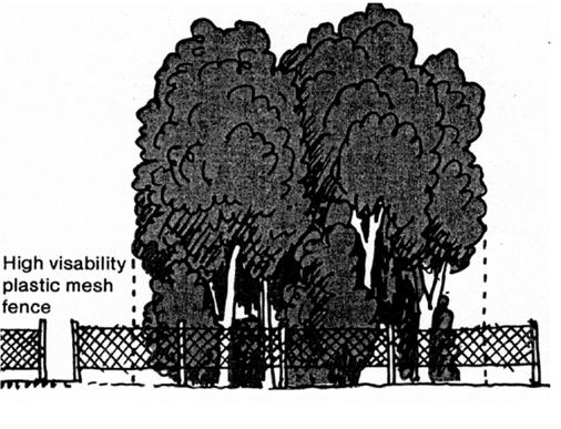 Chapter 860. Maintenance, Tree Protection and Planting Standards 860.020. Tree Protection Standards shall tree zone any place have given The 5.