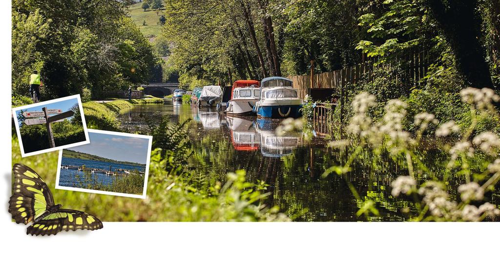 Location In the green alley of the Afon Llwyd between Cwmbran and Pontypool, Edlogan Wharf is beautifully positioned to enjoy the countryside and good transport links into town.