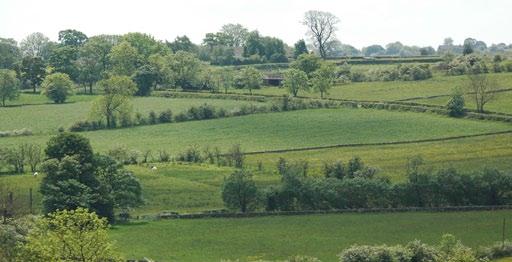0 acres (10 hectares) of farmland located to the north of the farmstead, around The Holmes which comprises a single block of grassland with access from Higg Lane.