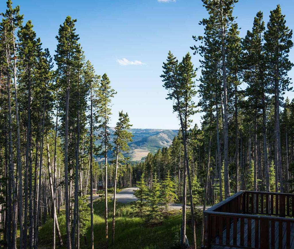 For more information about this property and its pricing please contact YC Realty. (888) 700-7748 (406) 995-4900 ycsales@yellowstoneclub.
