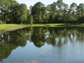 Sarasota County Residential Land Luxury Residential Development This 73-acre parcel is a beautiful and scenic tract, perfect for a high-end residential lifestyle community with every home on the lake.