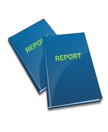 SCHEDULE FOR THE REVIEW FUNCTION Reports must come in staggered but in a timely fashion in order for the Reviewer to turn around the reports quickly.