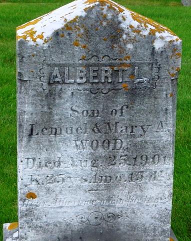 Wood Albert L., s. Lemuel and Mary A.