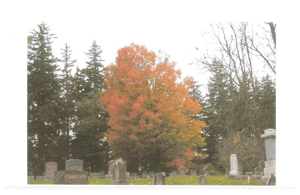 First Lobo Baptist Cemetery 10868 Oxbow Drive R.