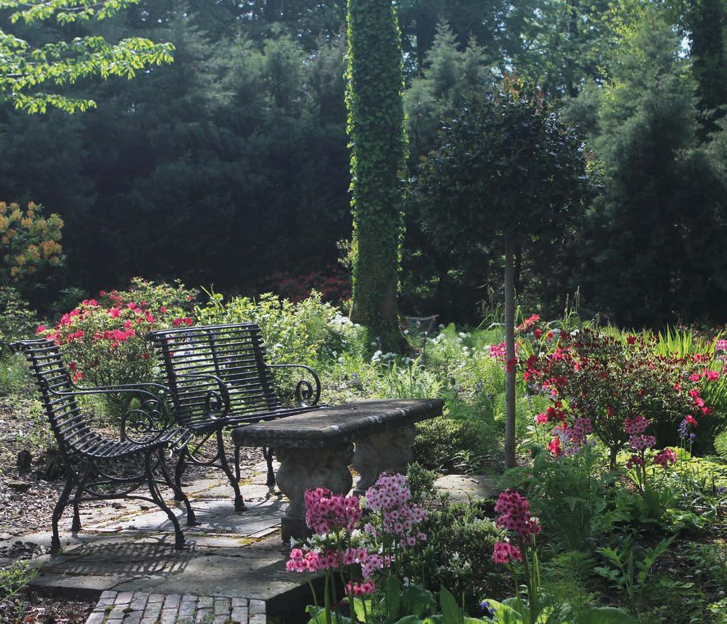 Leading to the top pond and Azalea garden is a secluded seating area which overlooks all three ponds