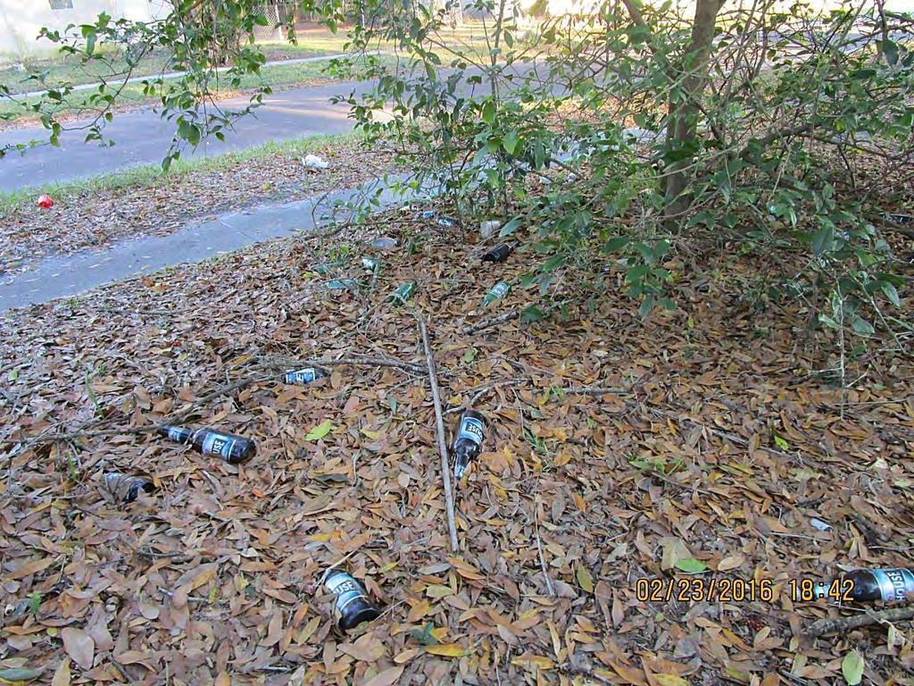 The side yard is covered in trash and dead leaves, which are spilling over to the other side of the sidewalk.