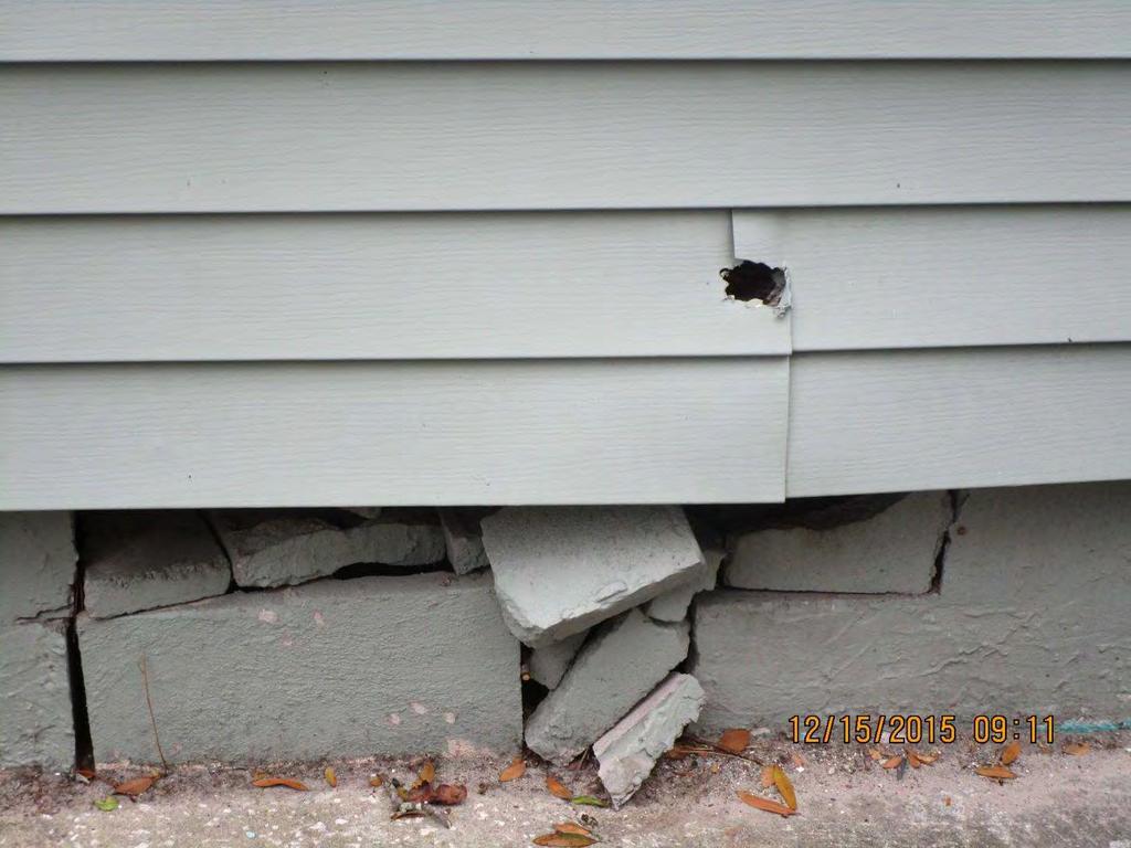 Bank of America has failed to secure a large hole in the siding of the home, and has