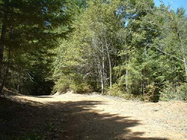 stream PARCEL TWO- 427 +/- ACRES- $799,000 The Rock Creek Farm is located only 2 miles west of