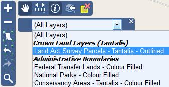Step 2: You may wish to confirm that the survey parcels mapping layer is visible. In the blue menu bar along the top right of your map viewer, click the Map Layers tool.