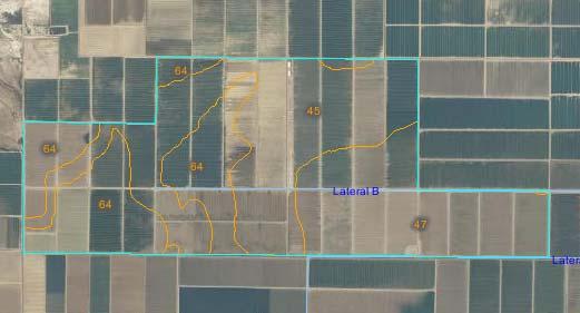 Paloma Soil Map SOUTHWEST LAND ASSOCIATES, L.L.C. Map Unit Symbol Map Unit Name Acres in AOI Percent of AOI 45 Mohall loam 1,205.