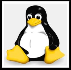 Linux Windows амалдық жүйесі және SCO Unix, Solaris немесе DOS сияқты коммерциялық АЖ басқа, Linux (Линукс) амалдық жүйесі де бар.