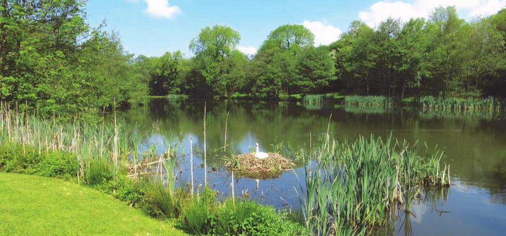The fishery is designated an ancient monument and is currently in a Countryside Stewardship Scheme generating an annual management grant.