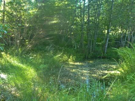 Great building site just waiting for your dream home! State: MT Legal: Lot 5 of Powerline Bay sub. 23.42+- acres, COS 3222ms, Located in N 1/2 of Sec5/T26N/R33W P.M.M. Taxes: TBD Broker Owned: NO Acres (lot size): 23.