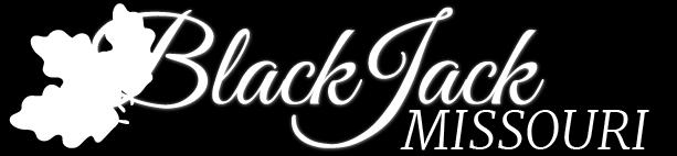 CITY OF BLACK JACK SEWER LATERAL REPAIR PROGRAM POLICY AND PROCEDURES CITY OF BLACK JACK 12500 OLD JAMESTOWN ROAD (314) 355-0400 Phone www.cityofblackjack.