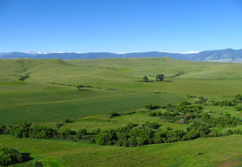 from mountains to lush green meadows, pastures and incredible rolling hills.
