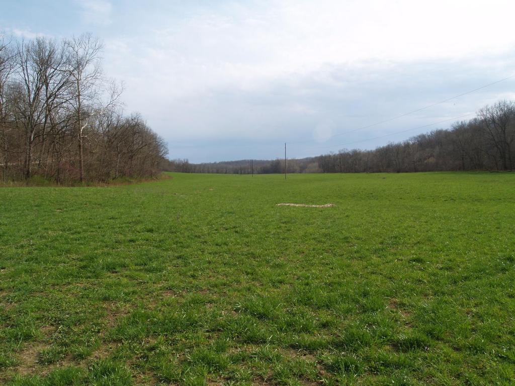 AUCTION & PROPERTY LOCATION: 1380 County Road