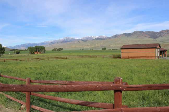 Willow Creek Ranch is nestled in the fertile South Fork Shoshone River Valley overlooking Buffalo Bill Reservoir and the Absaroka and Carter Mountain Ranges south of Cody, Wyoming.