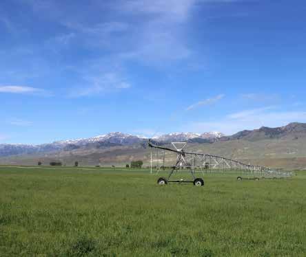 Willow Creek Ranch has an impressive irrigation system in place including 2 center pivots covering 85+/- acres; fixed sprinklers in the paddocks in front of the home covering 6+/- acres; and hand