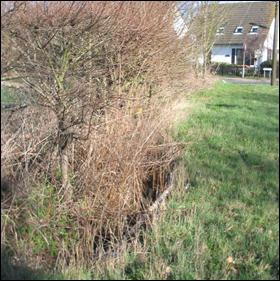 Ditches Open Ditch