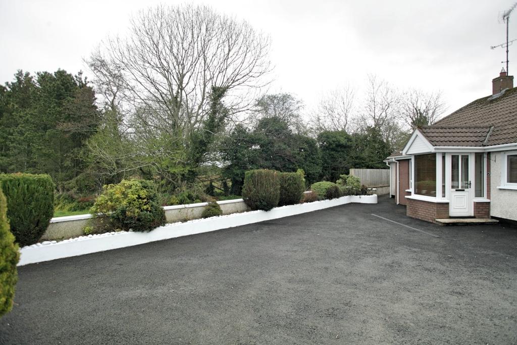Front Garden Tarmac forecourt with exceptional parking space and planted walled boundary with