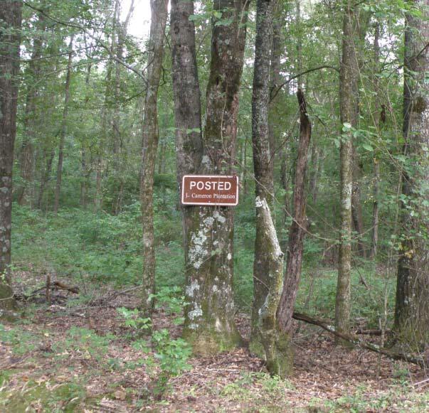 This portion of the original Cameron Plantation, known as the 1100, lies, for three miles, along historic Virlilia Road.