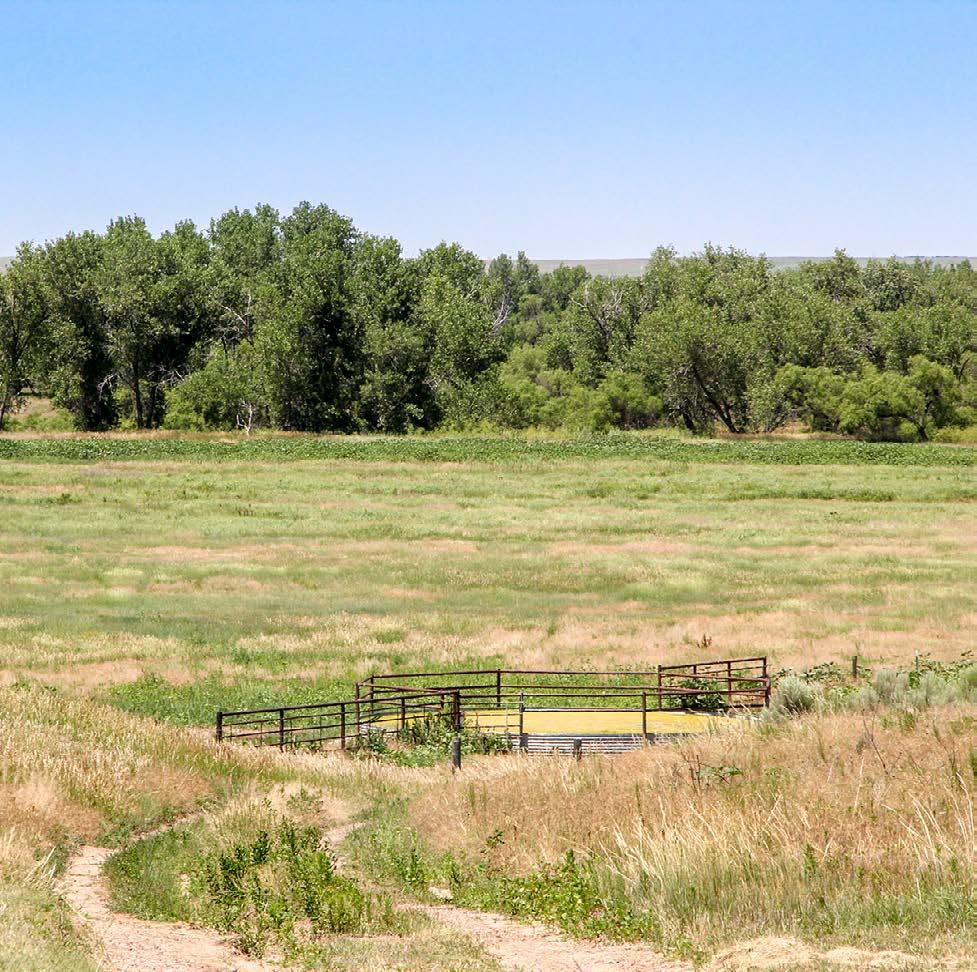 EXECUTIVE SUMMARY The Rust Ranch is a well blocked ranch located in the northeast corner of Colorado in Sedgwick County near Julesburg.