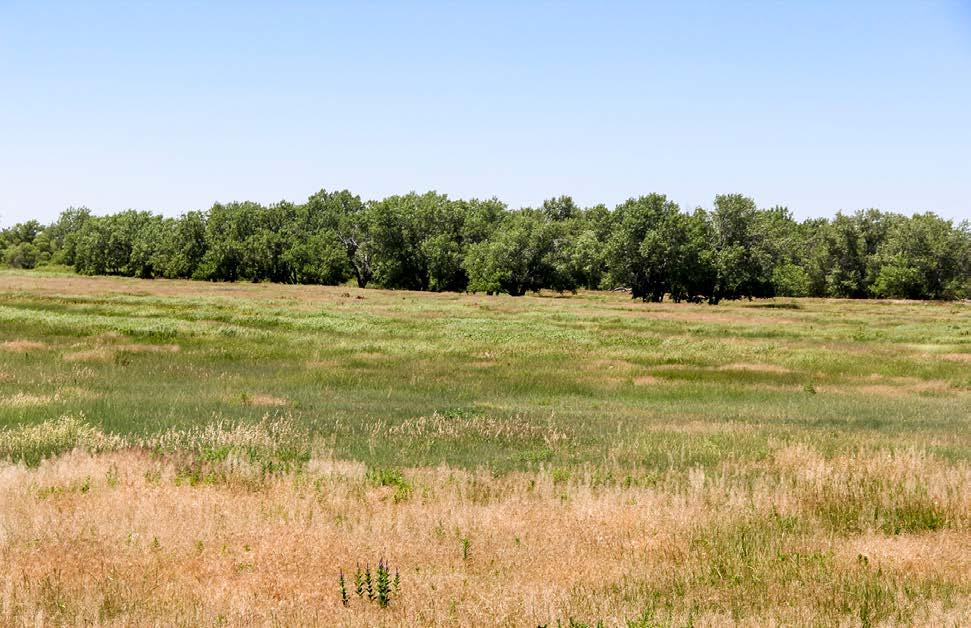 LOCATION The Rust Ranch is located just west of the county seat of Julesburg on County Gravel Road #28.