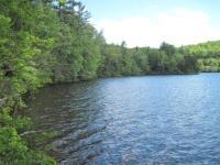 And in the spring of 2008 these trustees placed an easement on 1,800 feet of frontage on Baptist Pond (part of the Lake Sunapee watershed) as well as 65 feet of frontage on Bog Brook and 355 feet of