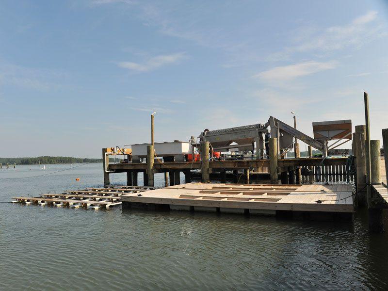 Water Column Leases True Chesapeake raises oysters on multiple water