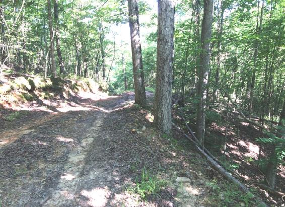 Available One mile South of U.S. Highway 270 $369,000.00 See this and other listings at www.kingwoodforestry.com KINGWOOD FORESTRY SERVICES, I NC.