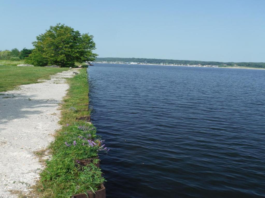 The picture below is where the shoreline would be considered part of the park and would advise that some form of a barrier be erected as soon as possible.