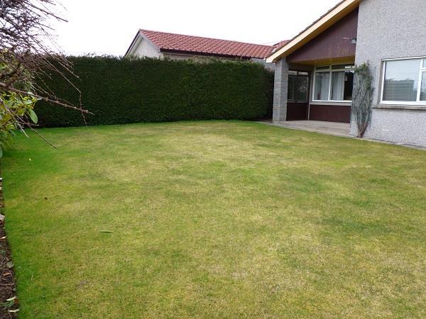 OUTSIDE Large back garden laid mostly in grass for ease of maintenance; bushes surrounding garden giving privacy; small patio area at rear of property; wooden garden shed to side of property; front