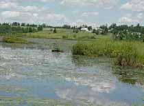 Sec. 22a-40 Wetland Uses and Operations Permitted by Right (1) agriculture (2) certain residential homes (3) boat anchorage (4) Uses incidental to the enjoyment and maintenance of residential