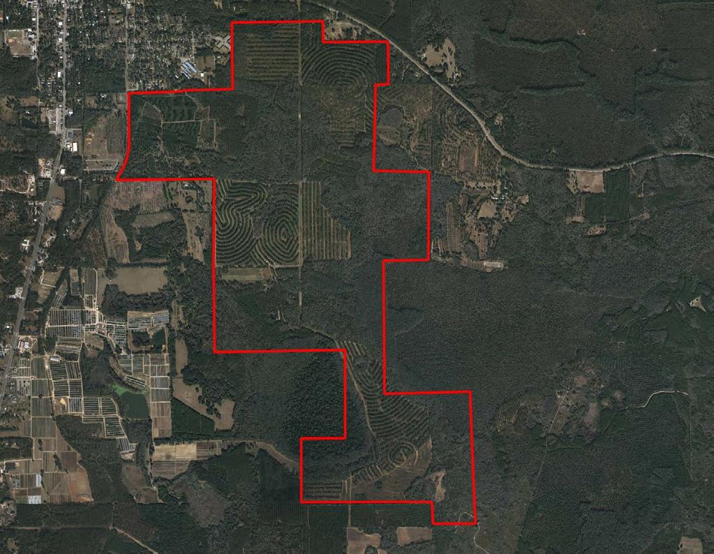 Tract 1 1,762 ± Acres For timber cruise, video,