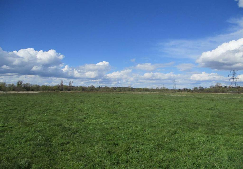 Chartered Surveyors / Estate Agents An attractive block of grazing land extending to approximately 62.50 acres (25.