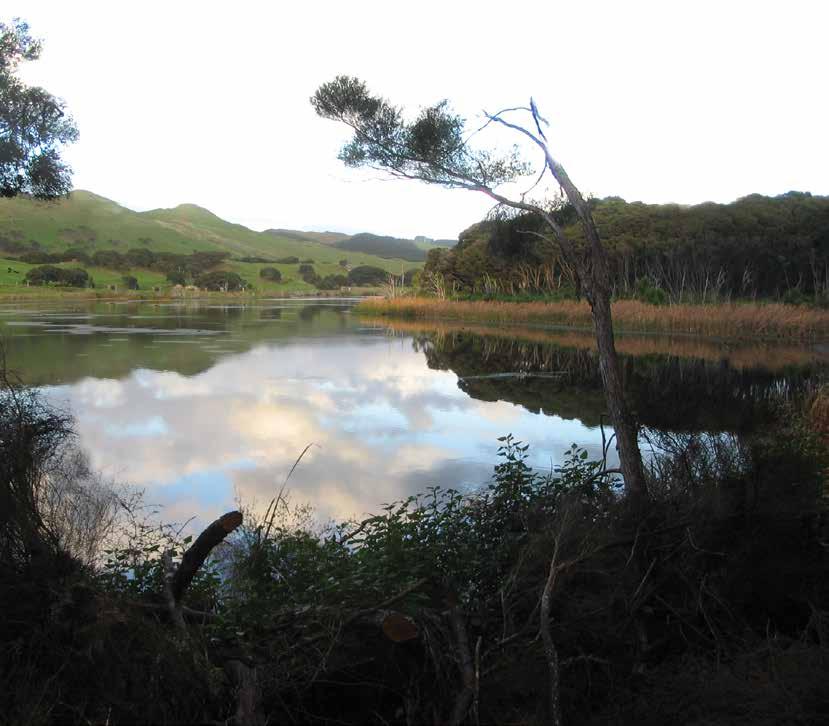 SECTION THREE: MEASURING THE RESULTS & WETLAND PROTECTION CHAPTER 14 PROTECTION 267 NGA WHENUA RAHUI KAWENATA Supports tangata whenua to retain ownership and control of their land, thus protecting