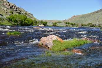 8± miles of privately accessed Bluegrass Creek Both Laramie River and Bluegrass Creek are excellent, private fisheries World
