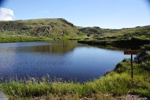 ACREAGE Dodge Ranch is comprised of 20,502± well blocked, deeded acres and 5,554± acres of leased BLM land. The Laramie River flows through the property for 11± miles.