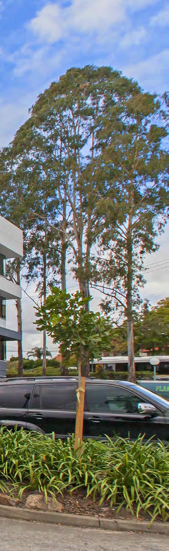 Move in with Bunnings, Coles and Qld Government tenants and enjoy a landscaped environment in an extremely convenient location.