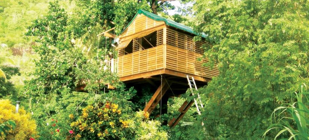 The Tree House Amongst the woods is the enchanting tree house, where adults and children can take pleasure in tree-top adventures in a vista perfectly situated atop the
