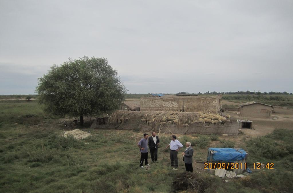 6 Appendix 5 Photo 1: Beylagan Subproject: Permanently Affected structures E. Impact on Business 11. The sheep farming business of the household will not be affected.