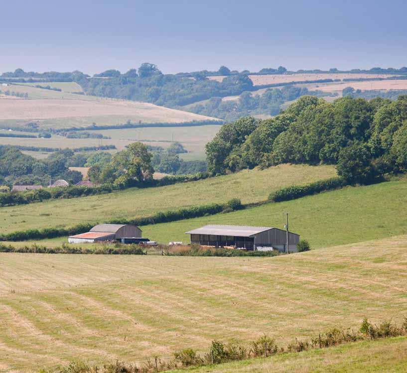 The Land The land at Manor Farm is in a single ring fence parcel comprising predominately pasture with some amenity woodland in a valley bowl with level pastures running through the valley.